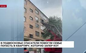 В Подмосковье спасатели помогли семье попасть в квартиру, которую запер кот
