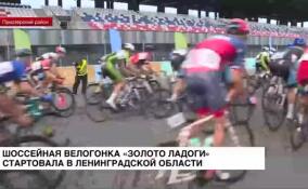 Международная велогонка «Золото Ладоги» стартовала на «Игоре Драйв»