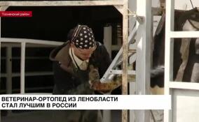 Ветеринар-ортопед из Ленобласти стал лучшим в России