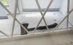 Житель Выборга хотел кинуть топор в окно знакомой, но попал в детский центр