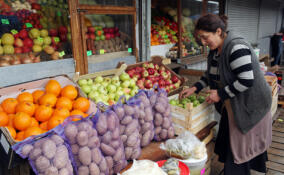 В Ленобласти выросли цены на картофель, морковь и капусту