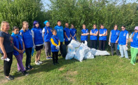 Волонтеры очистили прибрежную зону карьера Келколово