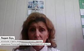 Лидия Буц рассказала об обстановке с клещами в Ленобласти