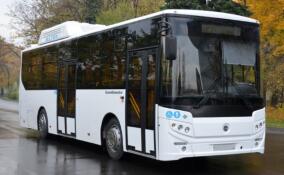На маршруты в четырех районах Ленобласти выйдут новые автобусы