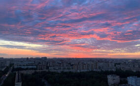 Полыхающее ярко-розовыми красками небо сняли над Петербургом
