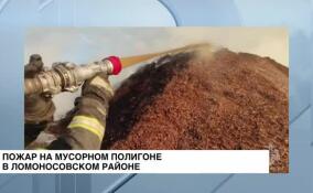 Продолжается тушение пожара на мусорном полигоне в Ломоносовском районе