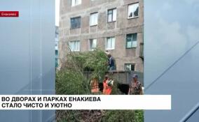 Во дворах и парках Енакиево стало чисто и уютно