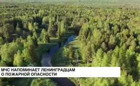 Накануне Дня пожарного надзора ленинградцам напомнили о пожарной опасности