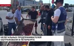 Нелегальных предпринимателей оштрафовали в Петербурге