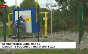 ФАС: с 1 июля 2024 года вырастут регулируемые цены на газ