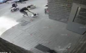 Камеры видеонаблюдения засняли нападение собаки на девочку в Мурино