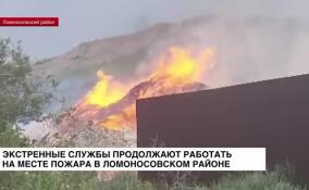 Экстренные службы продолжают работать на месте пожара в Ломоносовском районе