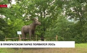 Металлический лось появился в Приоратском парке Гатчины