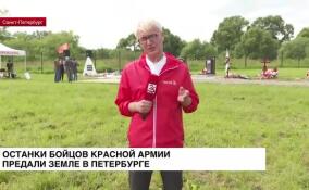 Останки 11 бойцов Красной Армии предали земле на Старо-Пановском кладбище
