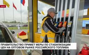 Правительство примет меры по стабилизации цен на оптовом рынке российского топлива