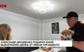 Александр Дрозденко подарил юной выборжанке щенка от имени президента