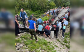 В Луге обрушился деревянный пешеходный мост - погиб один человек