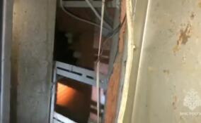 Спасение застрявшего в электрощите кота в Ленобласти попало на видео
