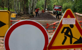 В Ленобласти обновят дорогу к садоводческому массиву «Пупышево»