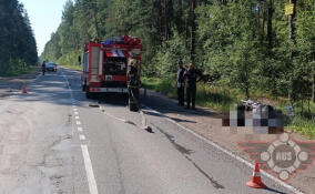 Мотоциклист и водитель микроавтобуса не поделили дорогу во Всеволожском районе
