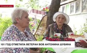 101 год отметила ветеран Великой Отечественной войны из Антропшино