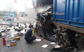Под Волховом массовая авария с участием грузовиков и легковушки унесла жизнь человека