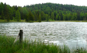 В Ленобласти с начала лета утонули 25 человек