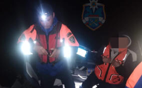 Женщину на лодке едва не унесло в Ладожское озеро минувшей ночью