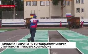 Чемпионат Европы по городошному спорту стартовал в Приозерском районе