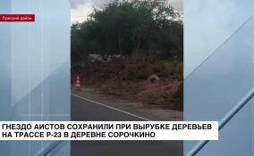 В деревне Сорочкино сохранили гнездо аистов при вырубке деревьев на трассе Р-23