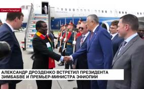 В Санкт-Петербург продолжают прибывать делегации из Африки