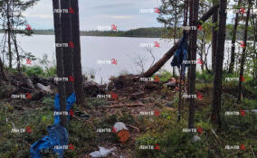 В Ленобласти пропала семейная пара: тело геолога нашли около 10-метровой воронки, супруга исчезла
