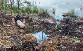 Найдено тело супруги погибшего на берегу озера в Выборгском районе