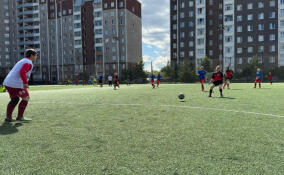Многодетные мамы из Гатчины встретились на ежегодном турнире по мини-футболу "Ленинградская семья"
