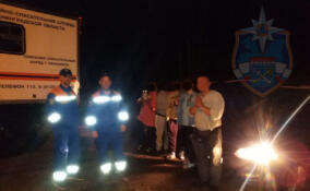 Шестерых человек разыскивали спасатели в лесу около посёлка Моторное