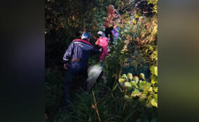Заблудившихся женщину с ребенком спасли в лесу вблизи поселка имени Морозова