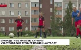 Многодетные мамы из Гатчины сразились на поле в рамках турнира по мини-футболу
