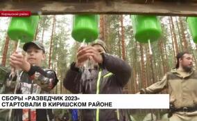 Сборы «Разведчик 2023» стартовали в Киришском районе