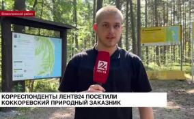 Съемочная группа ЛенТВ24 побыла в Коккоревском природном заказнике