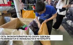 Сеть экоконтейнеров развивается в Ленобласти и Петербурге