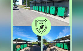 Площадку для ТКО в Большой Вруде очистили от мусора после вмешательства эконадзора