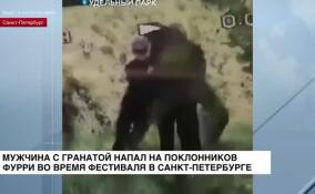 Мужчина с гранатой напал на поклонников фурри во время фестиваля в Санкт-Петербурге