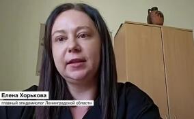 Елена Хорькова рассказала, как обезопасить себя от клещевого энцефалита