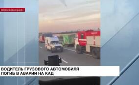 Один человек погиб в ДТП на кольцевой автодороге во Всеволожском районе