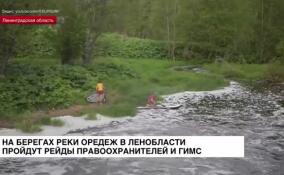 На берегах реки Оредеж в Ленобласти пройдут рейды правоохранителей и ГИМС