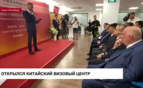 Дипмиссия КНР открыла визовый центр в Петербурге