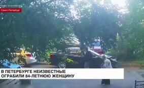 В Петербурге неизвестные ограбили 84-летнюю женщину
