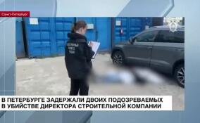 В Петербурге задержали двоих подозреваемых в убийстве директора строительной компании