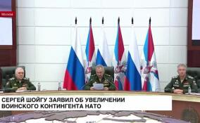 Сергей Шойгу заявил об увеличении воинского контингента НАТО