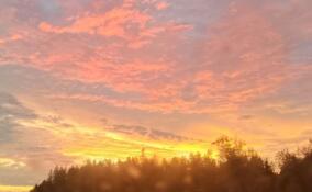 Яркий желто-розовый закат наблюдали жители Ленобласти